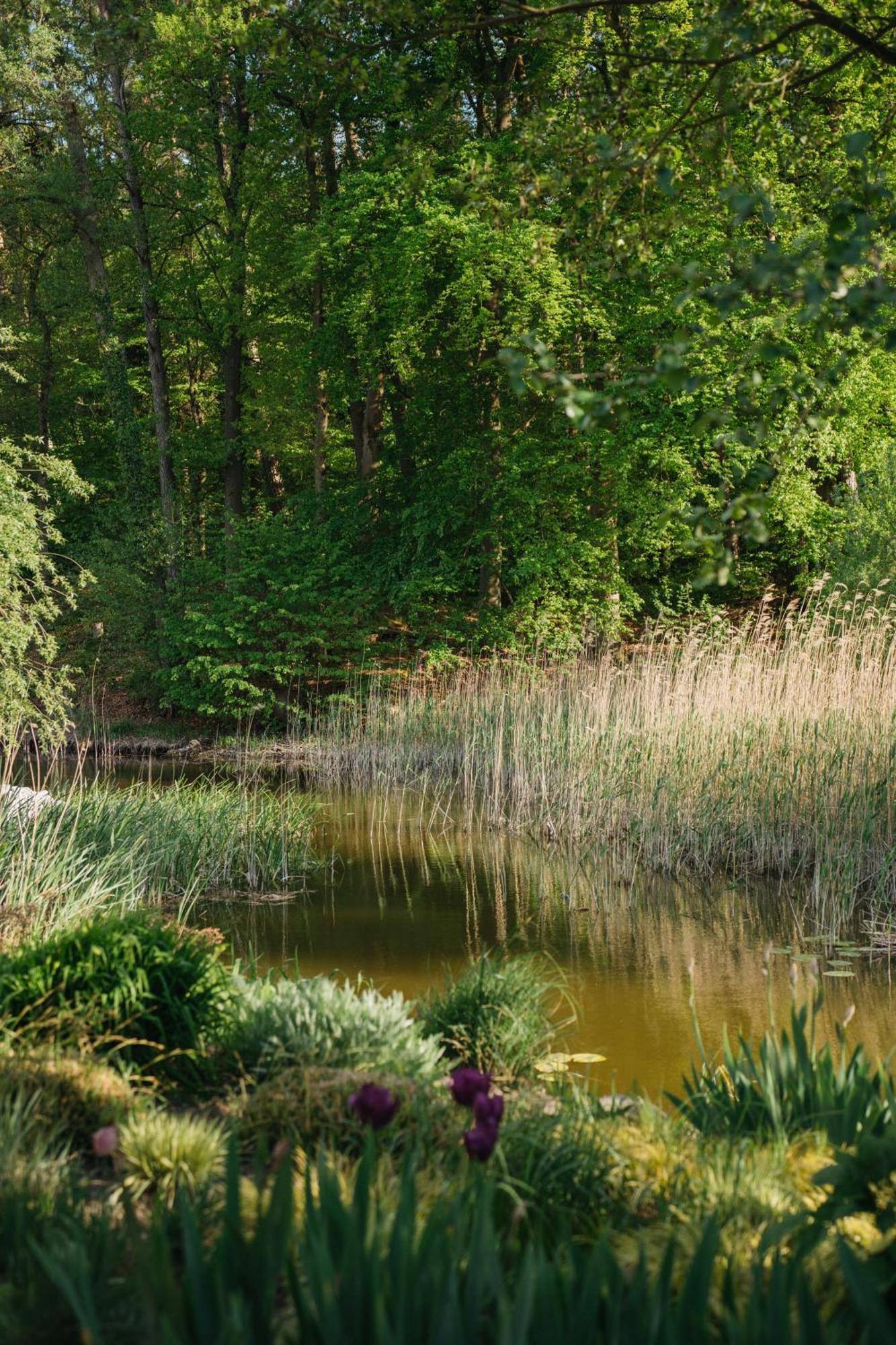 Muehle Tornow Am Wentowsee Exterior foto